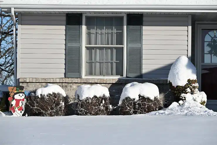Winter home