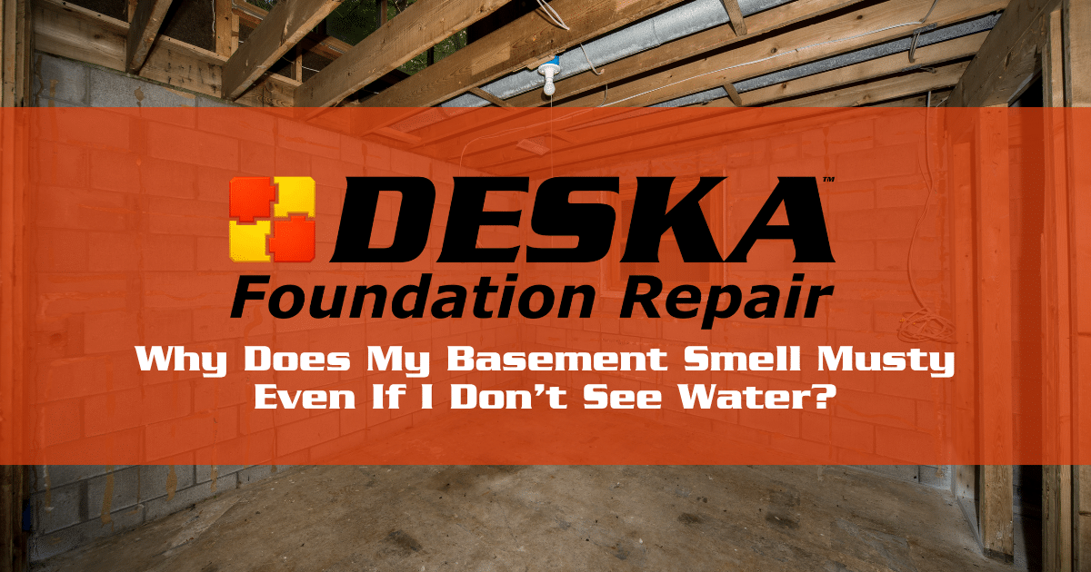 Why Does My Basement Smell Musty Even If I Don’t See Water?