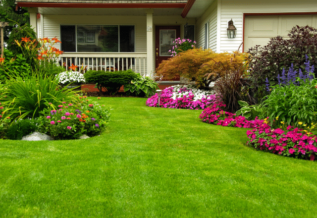 Soil Conditions