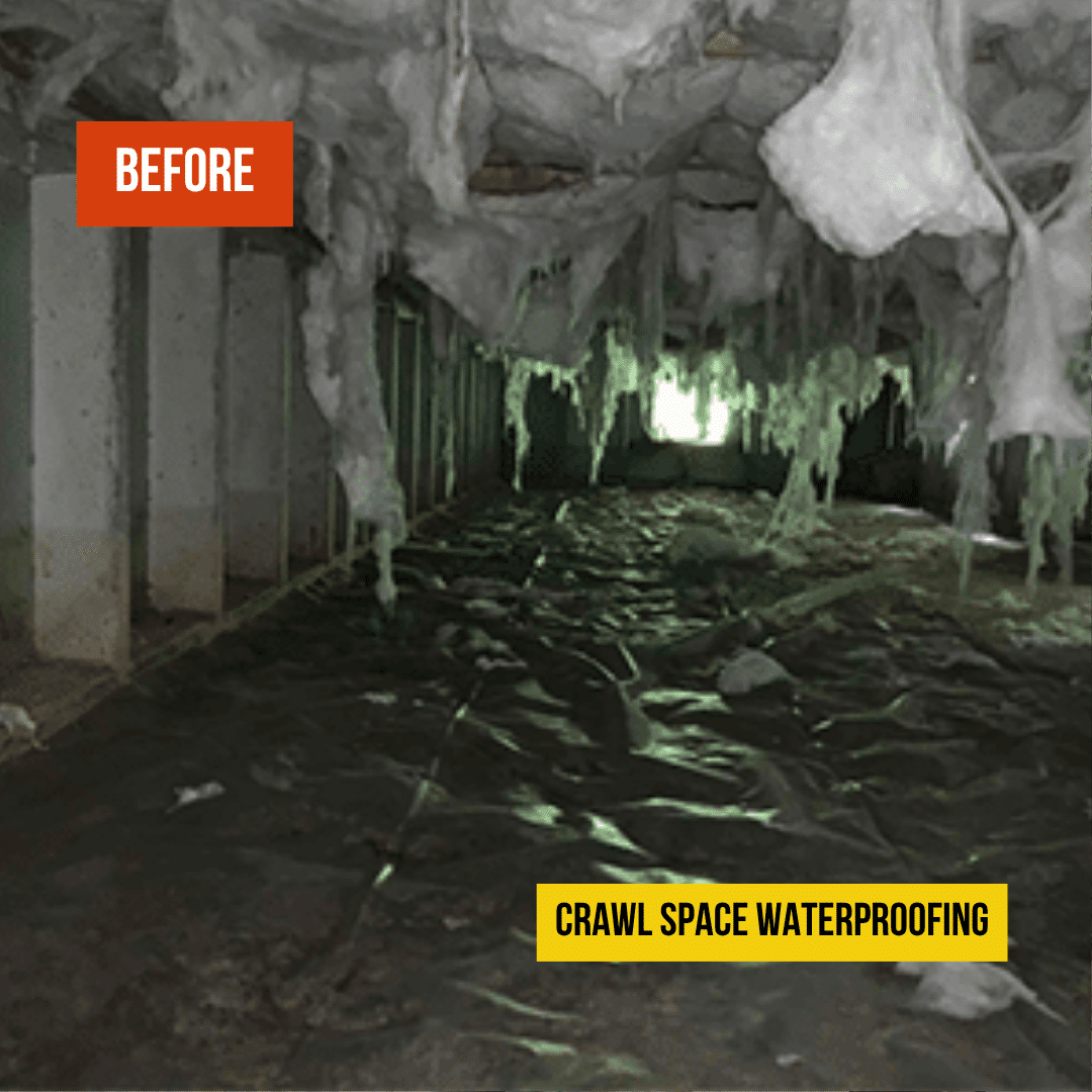 Crawl Space Waterproofing Alexandria - Before