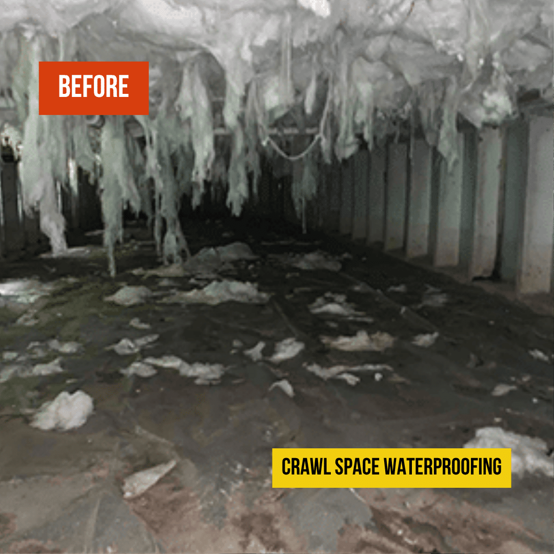 Crawl Space Waterproofing Mt. Vernon- Before